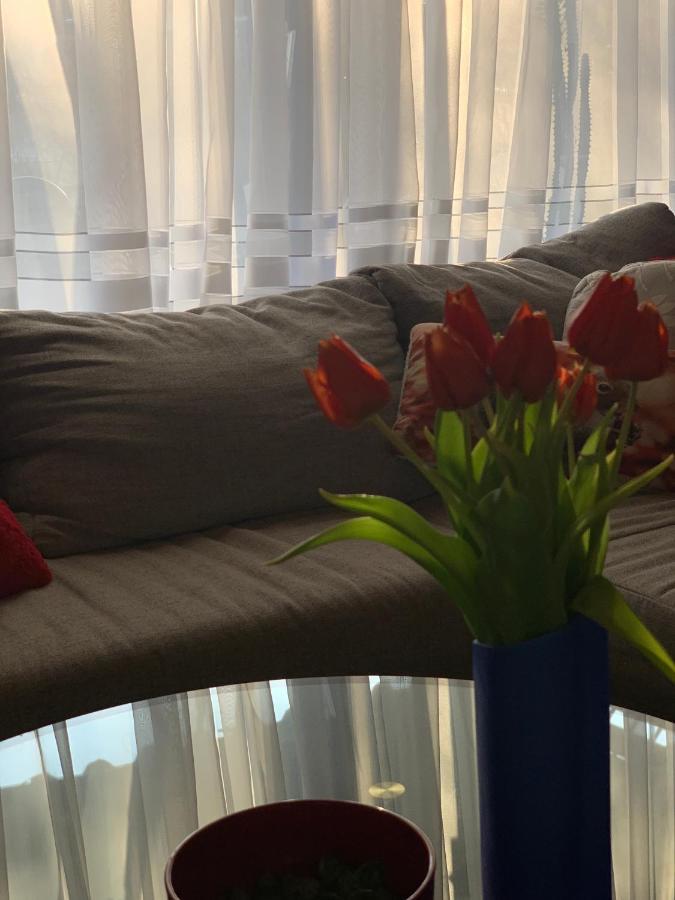 Little Heaven Apartment Parsberg Ngoại thất bức ảnh